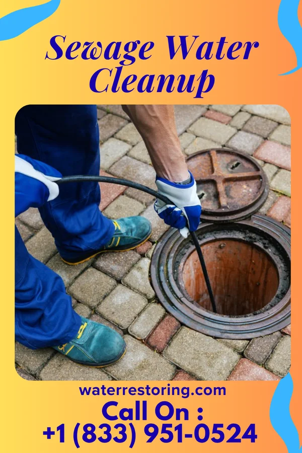 Sewage Water Cleanup in Ocean Grove, MA